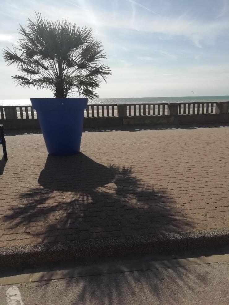 T3 Rez-De-Chaussee Lumineux Avec Terrasse Proche Plage Cucq Exterior photo