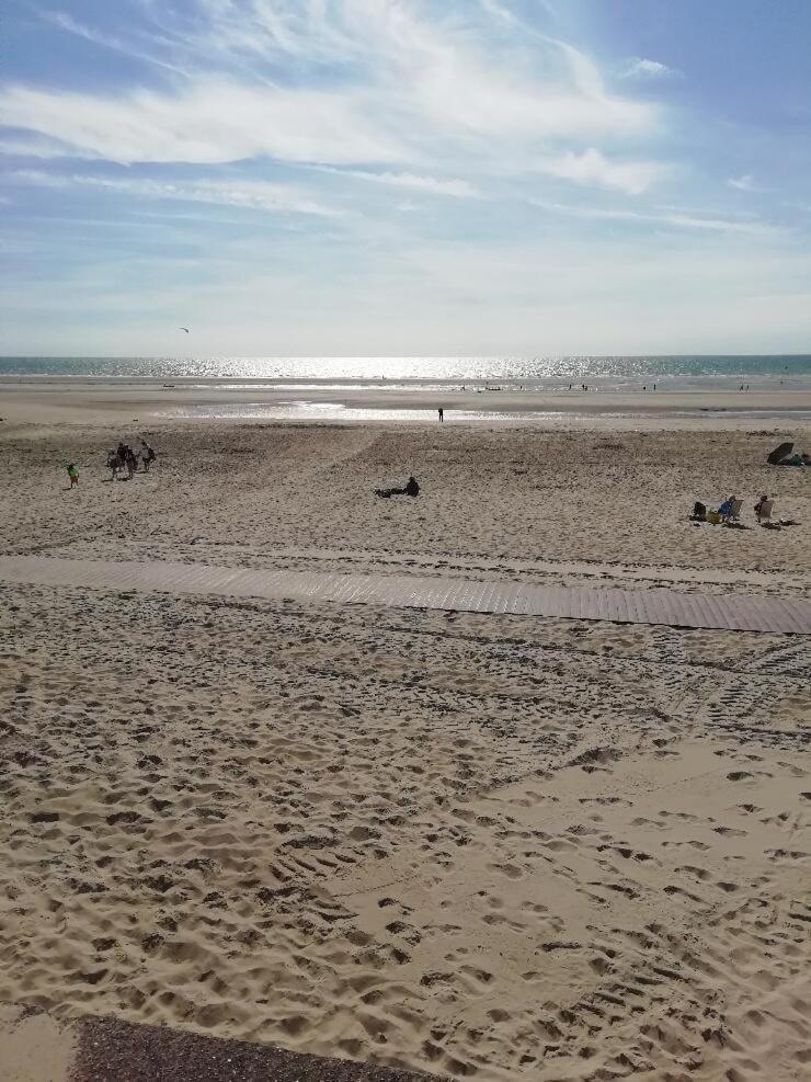 T3 Rez-De-Chaussee Lumineux Avec Terrasse Proche Plage Cucq Exterior photo
