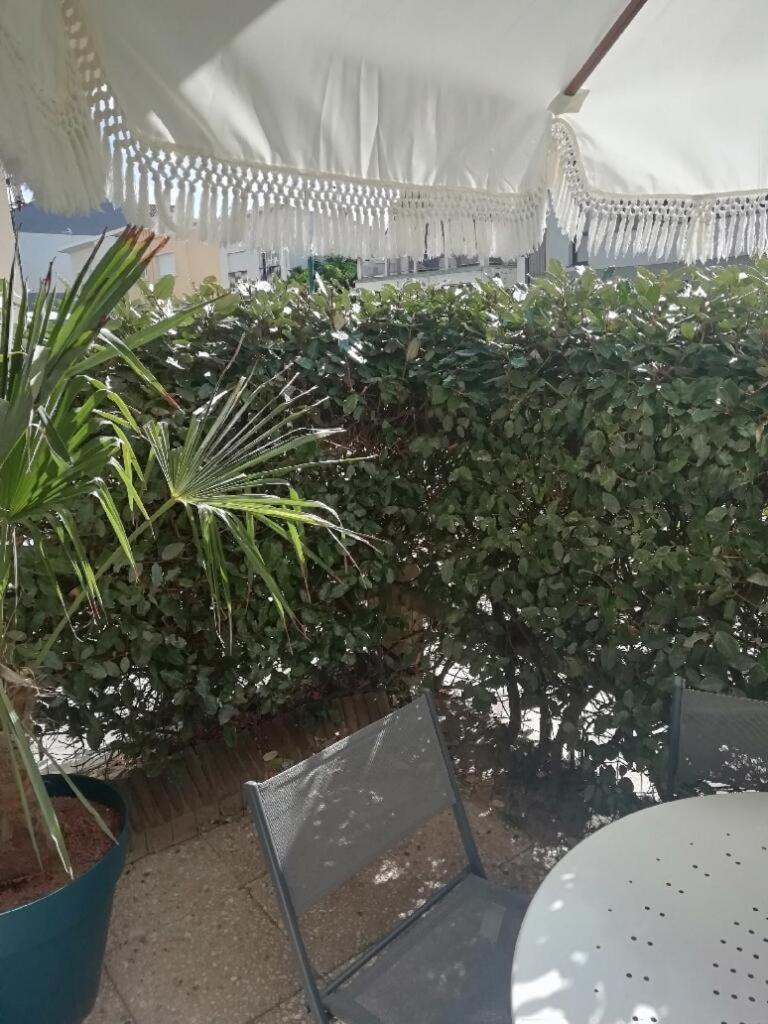 T3 Rez-De-Chaussee Lumineux Avec Terrasse Proche Plage Cucq Exterior photo