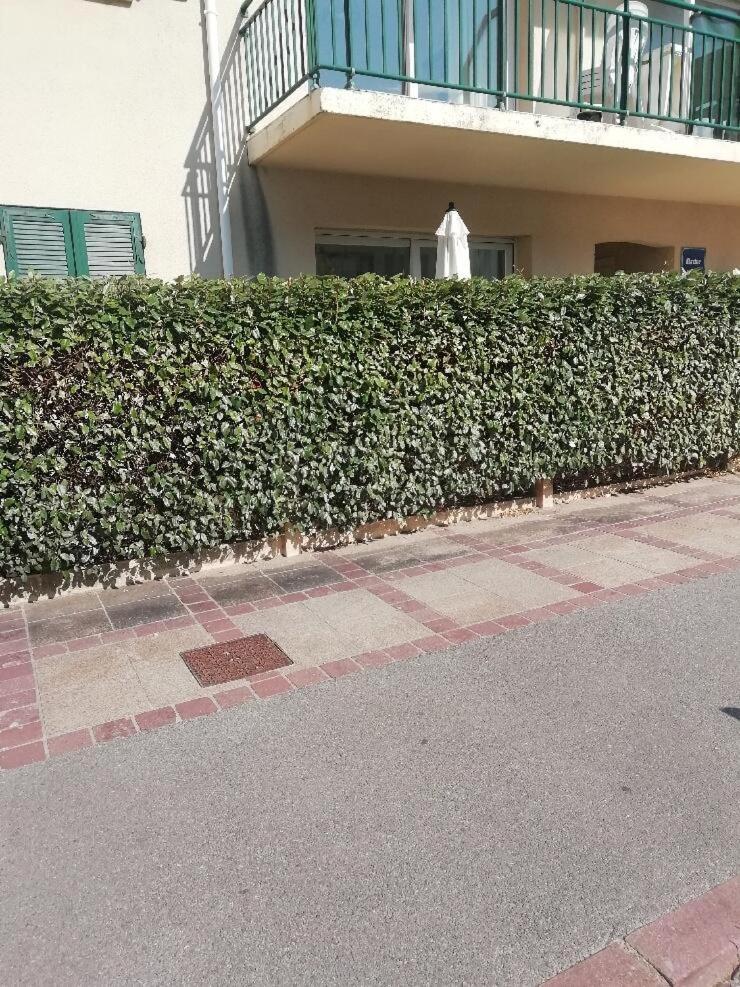 T3 Rez-De-Chaussee Lumineux Avec Terrasse Proche Plage Cucq Exterior photo